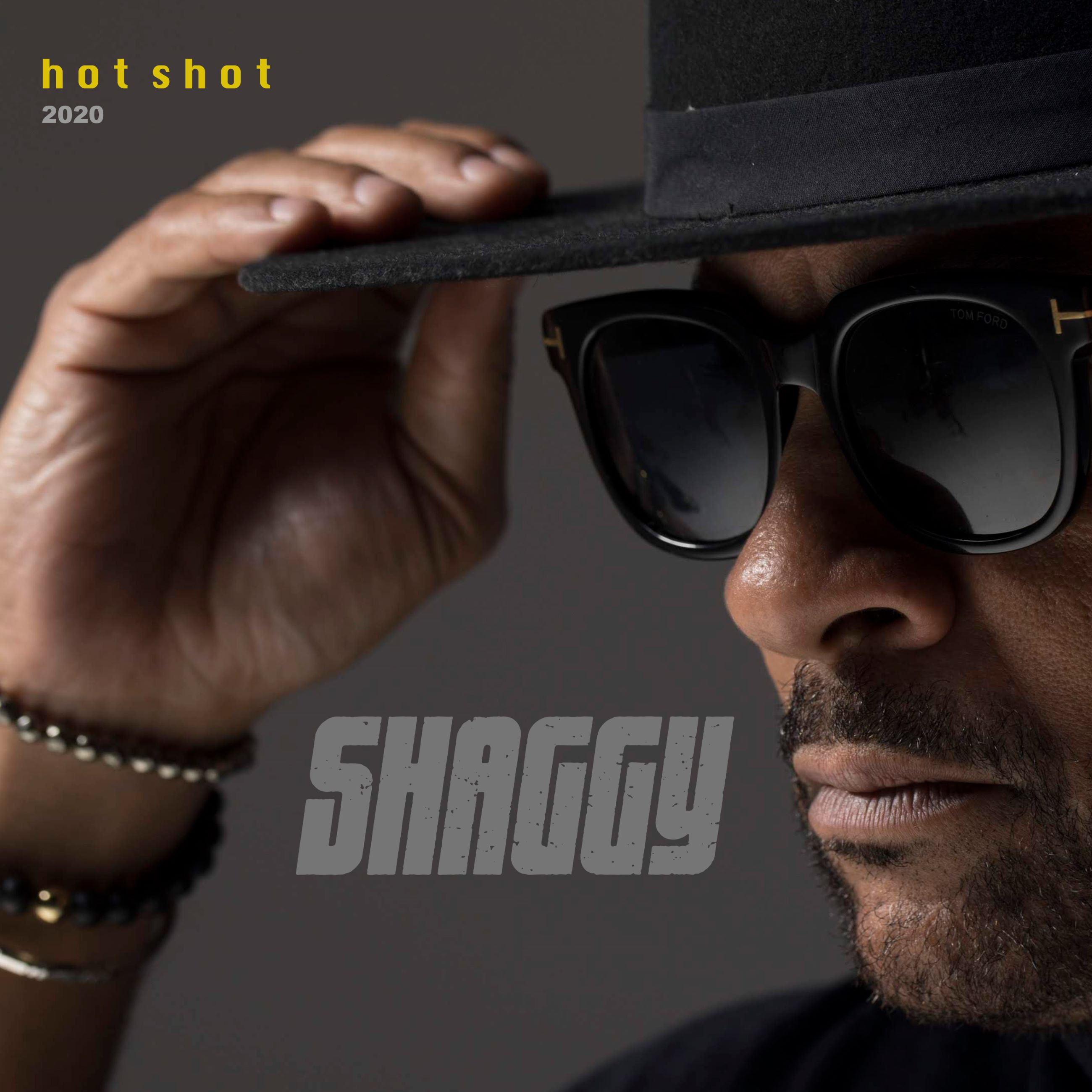 Album Shaggy Hot Shot 2020 4038